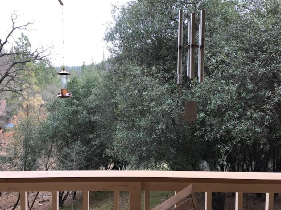 Yosemite Haven @ Pine Mountain Lake. Dog Friendly! Groveland Εξωτερικό φωτογραφία