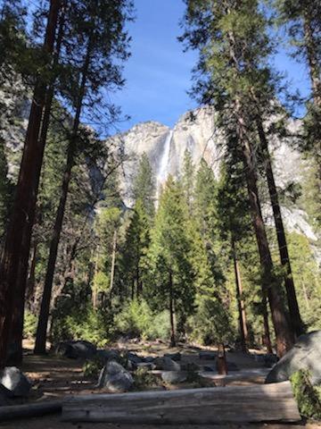 Yosemite Haven @ Pine Mountain Lake. Dog Friendly! Groveland Εξωτερικό φωτογραφία
